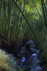 IMG_5075.jpg