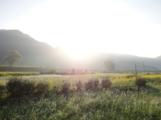 DSC01312.JPG