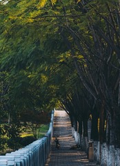 2600