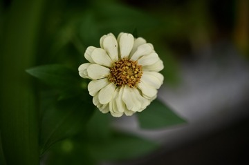 195739