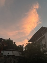 B3E717D3-5B3A-42D3-BA73-2E24BD9F1046/L0/001