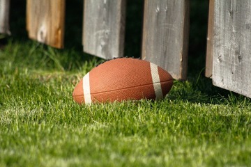 _MG_4831.jpg