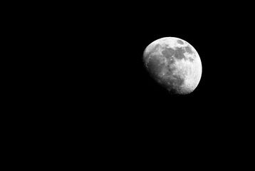 _MG_4631.jpg