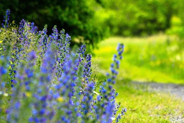 _MG_5304x.jpg