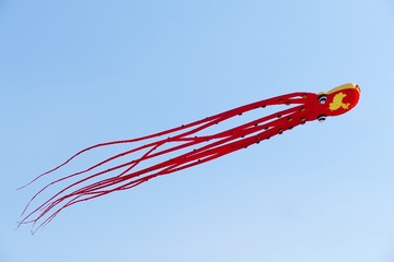 3599886