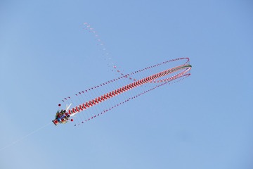 3599903