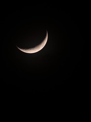 248262