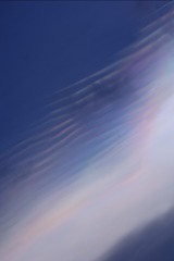1000025119