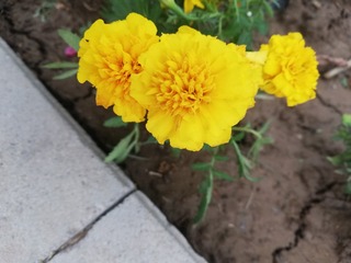 735869