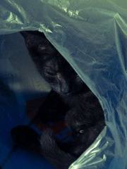 20120920-IMG_2787.jpg