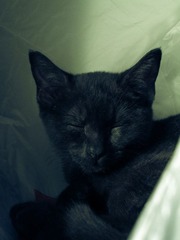 20120920-IMG_2791.jpg