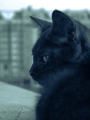 20121003-IMG_3145.jpg