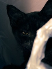 20120920-IMG_2788.jpg