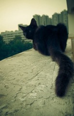 20121003-IMG_3149.jpg