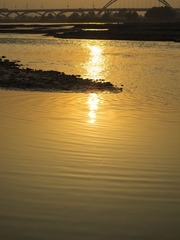 IMG_4208.jpg