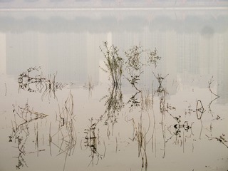 IMG_4288.jpg