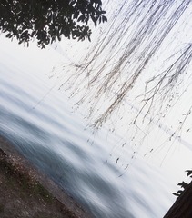E6206787-60A0-4578-9938-693FFC198738/L0/001