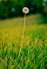 23B34689-8F3C-4DB3-9328-35B8030FCA69/L0/001