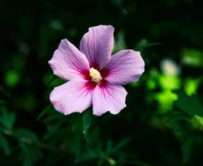 4B0B5C92-F4BB-44B6-9A14-C6AF3D5CE21D/L0/001