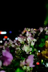 8E8C3B87-59B8-4E67-9E11-A92207AF503B/L0/001