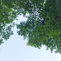 9C5DBF8F-9F11-4550-AA49-E2AFD0955333/L0/001