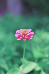 01B6157A-0CC0-4F27-A3A2-8FC2C2635B9F/L0/001