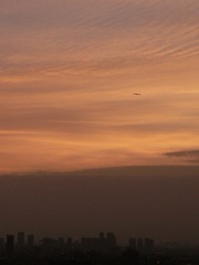 E702095F-8EC5-43F1-8CA5-036994D70198/L0/001