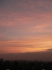 10D15997-390C-4673-B69A-6D2495F9E1A4/L0/001