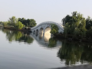 304665