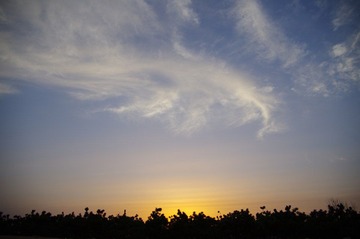 IMGP5454.JPG