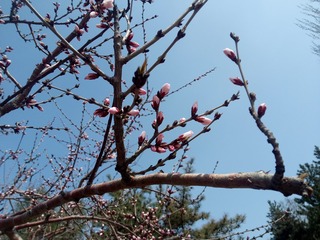 BB472BDC-3E29-423C-9C21-328C050B2B03/L0/001
