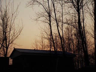 52579687-0A6D-475C-9DD7-BD56ADDB2EEA/L0/001
