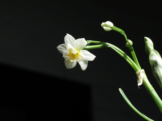 88BB0C41-114A-4AA1-8AE4-3D7AC809CC68/L0/001