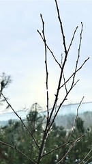 9C6F86BB-7C27-4598-A182-405938F772C5/L0/001