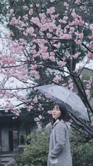 05267DE9-F162-46BA-BCCC-E8050D587CCB/L0/001
