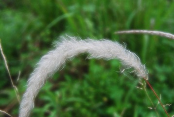 照片 080.jpg