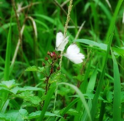 照片 094.jpg