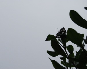照片 136.jpg