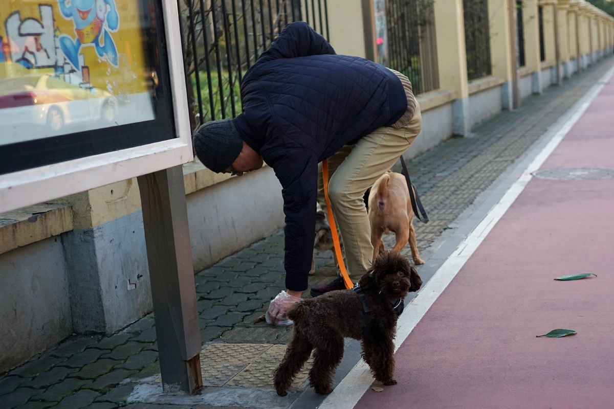 文明遛狗 - 闪电部队 - 图虫网 - 优质摄影师交流社区
