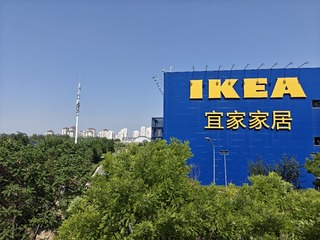 1000026162
