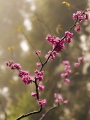 726170FB-770B-4152-A346-A70271F01F01/L0/001