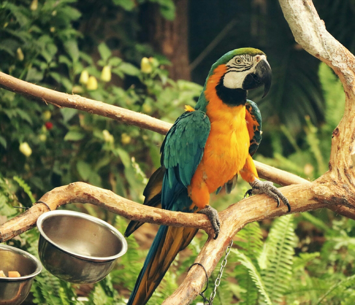 来一组动物抓拍