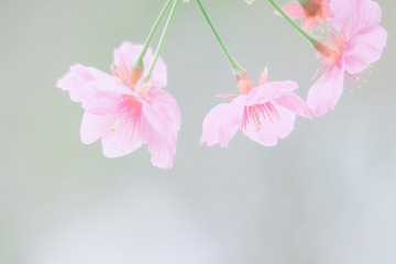 848F9533-B9B2-4CE8-BD18-B92FF7B16D9A/L0/001