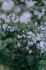 38E71BC0-8A3E-4D98-8FE7-EA9B02BF630F/L0/001
