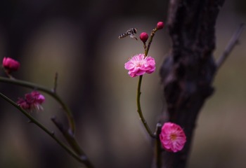 001