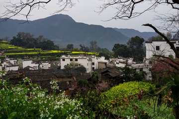 DSC03333.2048