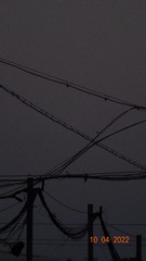 84BE74F1-539F-4DC1-9D4B-F3F043E68206/L0/001