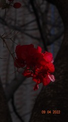 062AC769-C8FC-4C64-B0A2-37558895AAB1/L0/001
