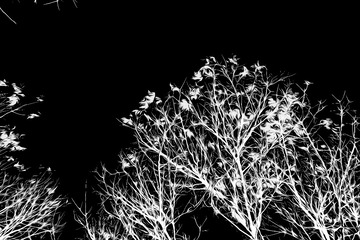 E03B62E1-700B-4AAB-934A-E3A344FC56F0/L0/001