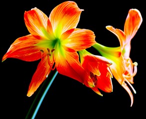 9278C7FF-D0AE-4624-A9B0-E48979F9FDD5/L0/001